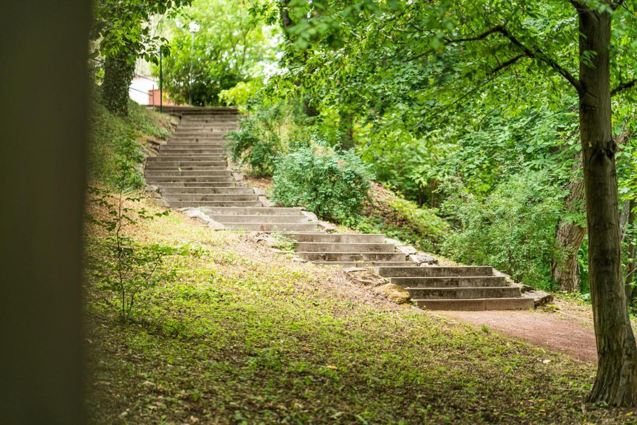 Dreibrunnen Gastehaus Im Luisenpark Hotel Érfurt Exterior foto